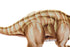 Véritable dinosaure en peluche Brontosaure
