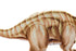 Véritable dinosaure en peluche Brontosaure à prix coûtant